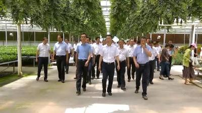 监利县党政代表团考察钟祥项目建设