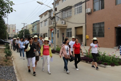 社区美化好不好 老党员们来打分