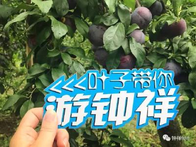 【舌尖