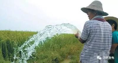钟祥市市政府办公室发出紧急通知：做好高温热害防范工作