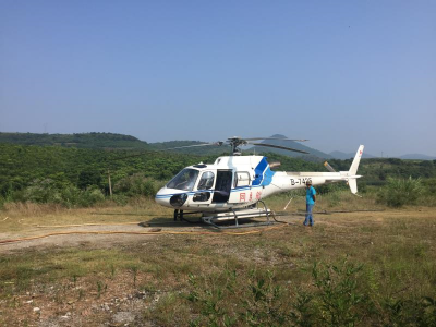 钟祥市飞防作业 消灭竹节虫