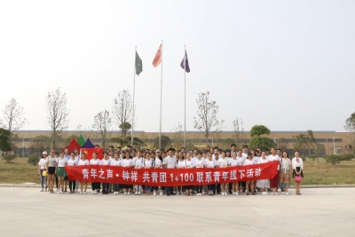 团市委召开2017年青少年“希望家园”活动总结表彰大会