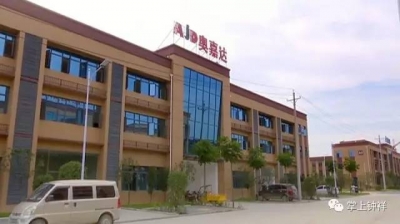 湖北奥嘉达模具项目一期正式投产