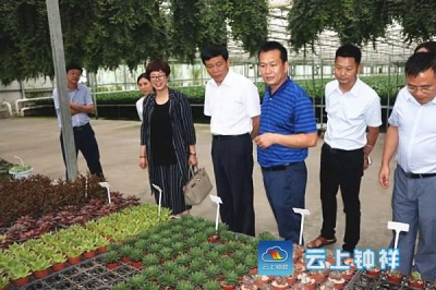 于春利到大柴湖教育基地调研
