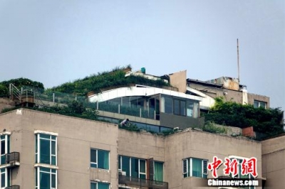 “最牛违建”又有新动作 违建为何成城市顽疾？