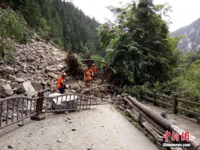九寨沟地震431名伤员全获救治 地震对大熊猫影响不大