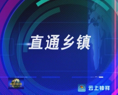 《直通乡镇》专栏：东桥镇 法治建设塑造和谐村镇
