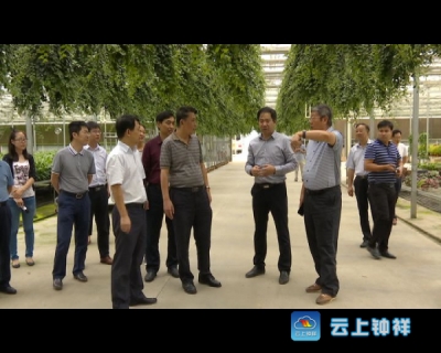 2017年09月22日《钟祥新闻》速览