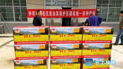 钟祥市对双低优质油菜保护区集中供种