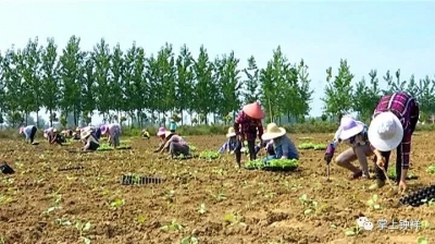 钟祥市授信5780万元扶持发展脱贫产业