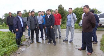 梁早阳调研钟祥受灾情况