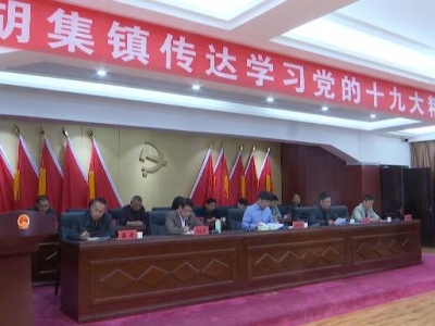 胡集镇传达学习党的十九大精神