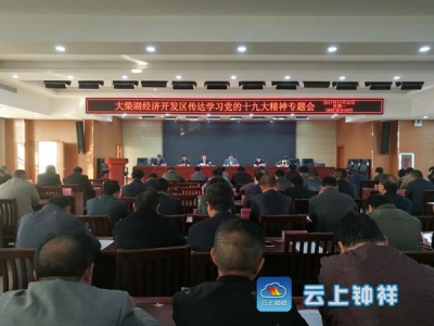 我区召开专题会议传达学习十九大精神