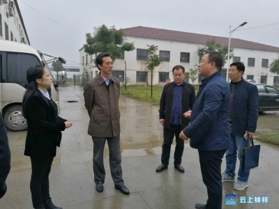 郭志泉调研九里民族工业发展情况