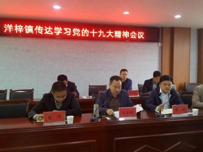 洋梓镇积极学习贯彻党的十九大会议精神