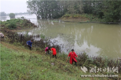 汉江荆门段水位全线超警戒 荆门取消放假奋力战洪水