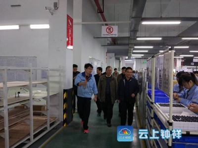 省农调队到我区检查指导工作