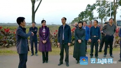山西晋中政协考察团考察钟祥现代农业发展情况 