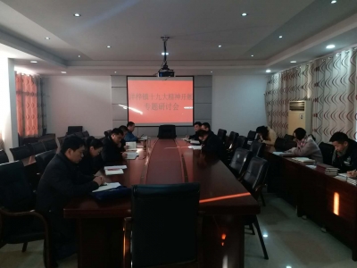 洋梓镇集中讨论学习十九大精神