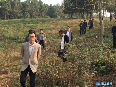 市长郭志泉专题调研莫愁村二期项目建设