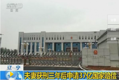 “黑老大”袁诚家凭什么申请37亿巨额国家赔偿？