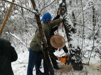 钟祥电力人鏖战冰雪保供电