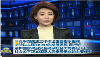 习近平对政法工作作出重要指示