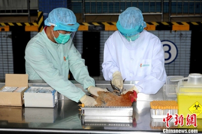 农业部：强化家禽H7N9流感免疫等综合防治措施