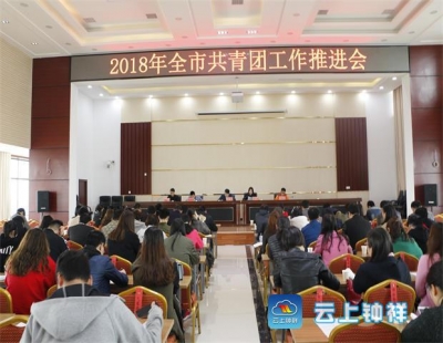 团市委组织召开2018年全市共青团工作推进会