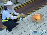 吓人！蜜蜂“越狱”大闹武当山收费站