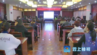 钟祥市中医院举办省级继续医学教育项目“基层医院眩晕规范化诊疗”