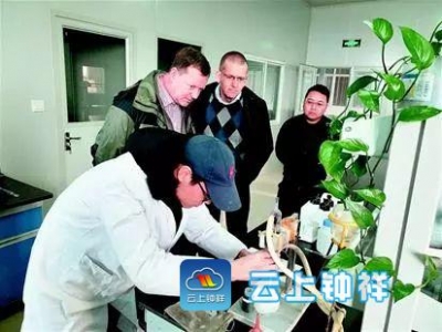 勇当精制棉纤维素行业的领跑者——钟祥金汉江的转型与坚守