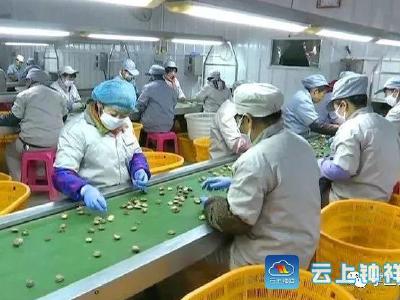 钟祥：做大做强产业集群 夯实发展基础 