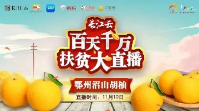 直播｜看表演、玩游戏、摘柚子！鄂州沼山胡柚采摘节“柚”你更精彩