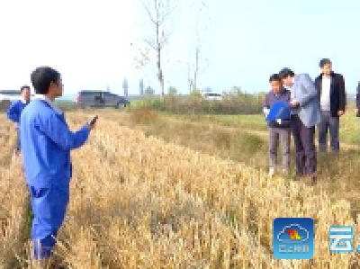 湖北省钟祥市土地质量地球化学评价（四期）项目通过验收
