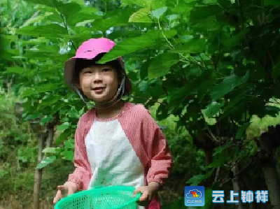 “小小地主召集令”东葚科技生态园喊你来当小地主啦~赶紧报名吧~ 