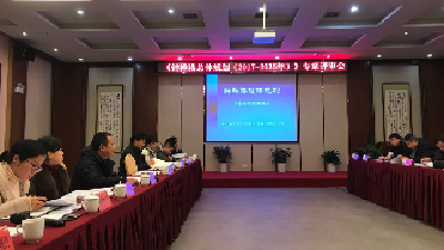 《钟祥港总体规划(2017-2035年)》通过评审