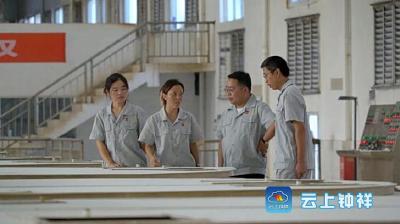 周航旭：一门心思做好精制棉