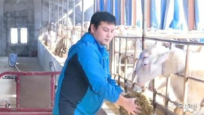 贺海云——带动村民脱贫致富的“领头羊”