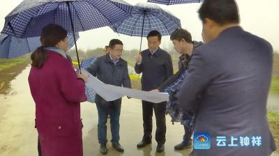 王小庆踏堪482省道钟祥丰乐至北新集段改扩建工程