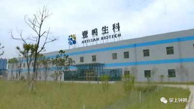 钟祥市首获国家级濒危保护植物林木种子生产经营许可证