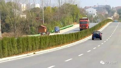 荆钟大道石牌段绿化工程三月底全面竣工