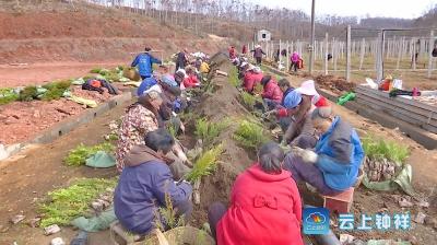 花山林业上榜国家林下经济示范基地