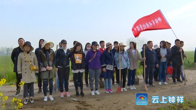 酥脆枣助力左堰村村民“枣”日脱贫