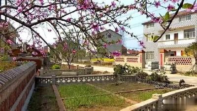 钟祥市柴湖镇这个村在荆门市项目拉练活动中得了好名次…