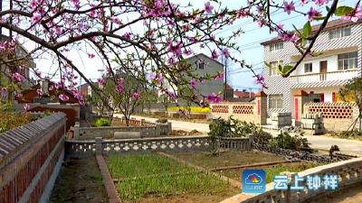 鱼池村：推进美丽乡村建设 描绘魅力乡村振兴画卷