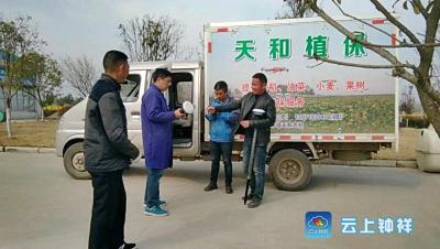 旧口镇：无人飞防为油菜核心区建设保驾护航