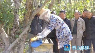 钟祥三星村的“蜜”谋