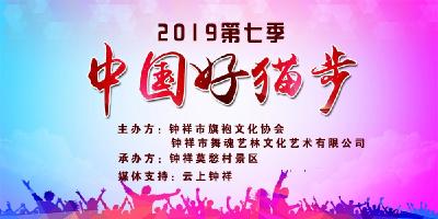 2019第七季《中国好猫步》