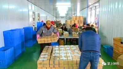 互联网+为钟祥“三农”插上腾飞的翅膀